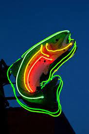 Pin On Fishing