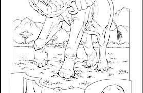 صور حيوانات للتلوين animals humanoid sketch art