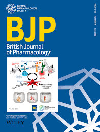 Linking drug and food addiction via compulsive appetite