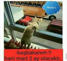 Utku Dumlu Adli Kullanicinin Mizah Panosundaki Pin Komik Goruntuler Mizah Komik Capsler