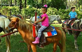 Children's petting zoo parties available at fun factory parties! Mimi S Pony Go Round And Petting Zoo