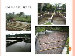 Ppt Desain Dan Konstruksi Wadah Budidaya Ikan Powerpoint Presentation Id 2333477