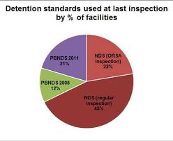 Ice Released Its Most Comprehensive Immigration Detention