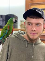 Had a visitor last night in Erwin