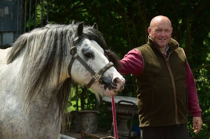Man dubbed 'Wales' gypsy horse king' jailed for possessing horse feed | Wales Online