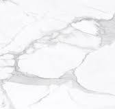 La Marca Statuario Nuovo Honed Rectified 24x48