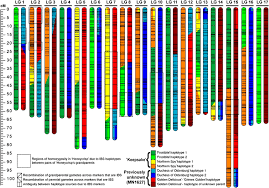 We did not find results for: Elucidation Of The Honeycrisp Pedigree Through Haplotype Analysis With A Multi Family Integrated Snp Linkage Map And A Large Apple Malus Domestica Pedigree Connected Snp Data Set Horticulture Research