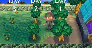 Error Animal Crossing Animal Crossing Game New Leaf