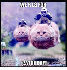 Lolcats is the best place to find and submit funny cat memes and other silly cat materials to share with the world. Caturday Caturday Meme On Me Me