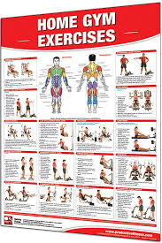 laminated fitness poster wall chart