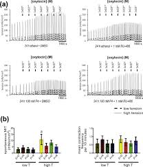 Nos coups de coeur sur les routes de france. The Impact Of Progesterone And Ru 486 On Classic Pro Labour Proteins Contractility In Human Myometrial Tissues During 24 Hour Exposure To Tension Interleukin 1b Sciencedirect