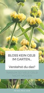 Undenkbar Ein Fruhlingsgarten Ohne Gelb Gelbe Stauden In 2020 Gelbe Pflanzen Fruhlingsgarten Pflanzen