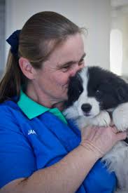 Meet the Team — Rangeside Veterinarians