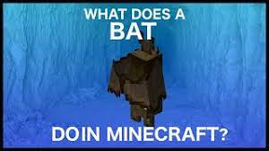 Where is the bat?*= _ the best method to get rid of bats would be to call a pest control service. How To Get Rid Of Bats On Minecraft