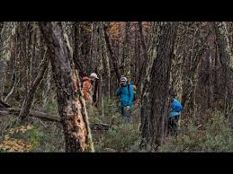 Vinculación comunitaria