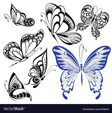 Set Of Butterflies Royalty Free Vector Image Vectorstock Butterfly Drawing Butterfly Art Butterflies Vector