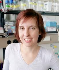 Awards, honors, prizes