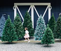 Should You Buy An Artificial Christmas Tree Or A Real Christmas Tree