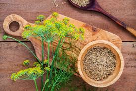 10 Common Digestive Herbs And How They Benefit Your Health London Evening Standard