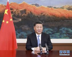 Chinese law, however, strictly forbids surrogacy, and surrogacy contracts will not be. Remarks By H E Xi Jinping President Of The People S Republic Of China At The Opening Ceremony Of The 17th China Asean Expo And China Asean Business And Investment Summit