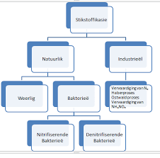 Die sortering en hergebruik van materiale. Https Www Abcmathsandscience Co Za Assets Samples Pdfworksheet 697eead97afd8374d04f9146e8d29e0a Pdf