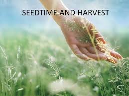 SEEDTIME AND HARVEST. b Jesus, there is something about that name ...