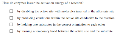 Solved How Do Enzymes Lower The Activation Energy Of A | Chegg.com
