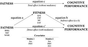 Ruben castaneda and vonda wright . The Effects Of Physical Activity And Exercise On Cognitive And Affective Wellbeing Frontiers Research Topic