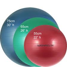 Exercise Balls The Ultimate Guide Top Me