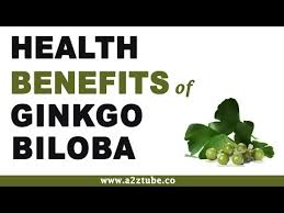Гинкго билоба плюс ginkgo biloba plus 240 капсулы 30 мг. Ginkgo Biloba Facts And Health Benefits