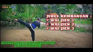 Di publikasikan tanggal 25 agustus 2020 terimakasih banyak sudah menonton sampai akhir video ini, cuma hiburan aja ya gaeeesss. Beisi Melatih Kuda Kuda
