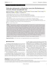 Image result for Phyllanthus loandensis