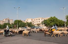 We Were On Our Way To The Post Office When With Images Namaste India Incredible India Post Office