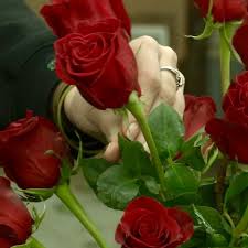 Maybe you would like to learn more about one of these? Oberer S Flowers Preps For Busiest Holiday Of The Year Wrgt