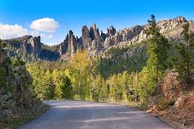 13 Great Things To Do In Custer State Park One Day Itinerary