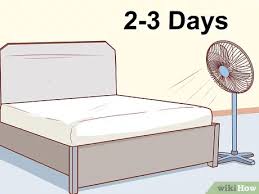 Dieser mensch erfährt an dieser stelle, daß er den geruch der matratze schwerlich wieder los wird und das teil lieber wegwerfen soll. Katzenurin Aus Einer Matratze Entfernen Mit Bildern Wikihow