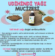 Dogal Ve Saglikli Yasam Panosundaki Pin