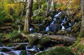 Cosa vedere a Dartmoor, North Cornwall & Devon