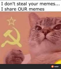 Thirty Eight Miscellaneous Memes To Please Your Peepers Really Funny Memes Funny Memes Funny Relatable Memes