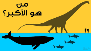 ما هو أكبر كائن حي على الأرض youtube