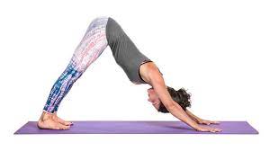 Maybe you would like to learn more about one of these? Downward Facing Dog Pose Gaia
