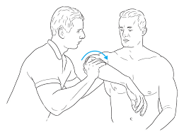 Image result for Hawkins Test