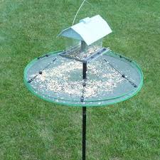 Bird Feeder Pole With Baffle Adjustable Seed Tray For Bird Feeder Pole Bird Feeder Baffle Backyard Birds Feeders Bird Feeder Poles