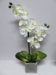 Make your dream garden into a reality with our fantastic range of garden flower pots. Large Artificial Potted Plant 60cm White Orchid In Grey Stone Pot Uk Gardens Co Uk