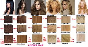 Here you may to know how to color hair with peroxide. All Types Of D I Y My Simple Blog For You
