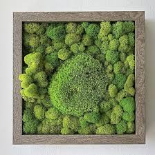 Moss Wall Art Living Wall Art 3d Pillow Moss Moss Frame Etsy In 2020 Moss Wall Art Living Wall Art Moss Wall