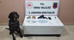 ordu il jandarma komutanliginca uyusturucu madde ile mucadele kapsaminda yapilan titiz calismalar yurutmeye devam ediyor ordu 14 ekim calisma