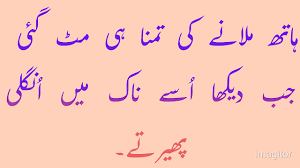 The poetry is available in urdu, hindi and english so you can read them as per your convenience. Friendship Quotes In Urdu Shayari Funny