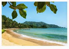 Image result for pantai pasir putih trenggalek