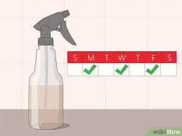Apple cider vinegar works wonders because it is a source of potassium which may benefit hair growth. Easy Ways To Apply Apple Cider Vinegar To Hair 9 Steps